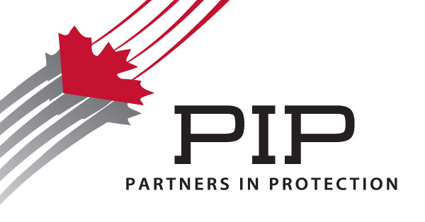 PIP logo